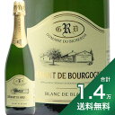 s1.4~ȏőtrV N} h uS[j u h u NV Bicheron Cremant de Bourgogne Blanc de Blancs Xp[NO tX uS[j