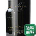 カベルネ ソーヴィニヨン トゥルー ヴィンヤード ハウエル マウンテン 2019 アウトポスト ワインズ Cabernet Sauvignon True Vineyard Howell Mountain Outpost Wines 赤ワイン アメリカ カリフォルニア《1.4万円以上で送料無料※例外地域あり》