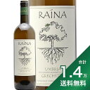 《1.4万円以上で送料無料》 グレケット ウンブリア 2022 カンティーナ ライナ Grechetto Umbria IGT Cantina Raina 白ワイン イタリア ウンブリア