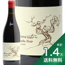 s1.4~ȏőt g CY OibV m[ 2021 Moment Wines Grenache Noir ԃC AtJ