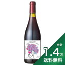 《1.4万円以上で送料無料》 ボジョレー ヌーヴォー 2023 シャトー カンボン 【11月16日解禁】 Beaujolais Nouveau Chateau Canbon 赤ワイン フランス ブルゴーニュ