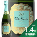 《1.4万円以上で送料無料》カバ ブリュット セレクシオン NV ビリャ コンチ Cava Brut Seleccion Villa Conchi スパークリング スペイン ペネデス カヴァ ビオロジー いろはわいん