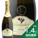 1.4߰ʾ̵եߡ ֥å ᥽å ȥǥͥ 2011 ϥͥ 顼 Emmi Brut Metho...