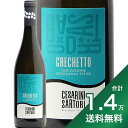 《1.4万円以上で送料無料》 グレケット ビアンコ 2022 チェザリーニ サルトーリ Grechetto Bianco Cesarini Sartori 白ワイン イタリア ウンブリア