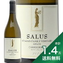 《1.4万円以上で送料無料》スタッグリン サルース シャルドネ 2022 Staglin Salus Chardonnay 白ワイン アメリカ カリフォルニア ナパ ヴァレー ラザフォード