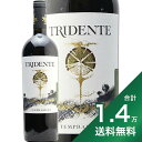 s1.4~ȏőt gfe evj[ 2019 Tridente Tempranillo ԃC XyC