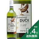 《1.4万円以上で送料無料》ステラー ランニング ダック シャルドネ 2023 Stellar Running Duck Chardonnay 白ワイン 南アフリカ 酸化防止剤無添加