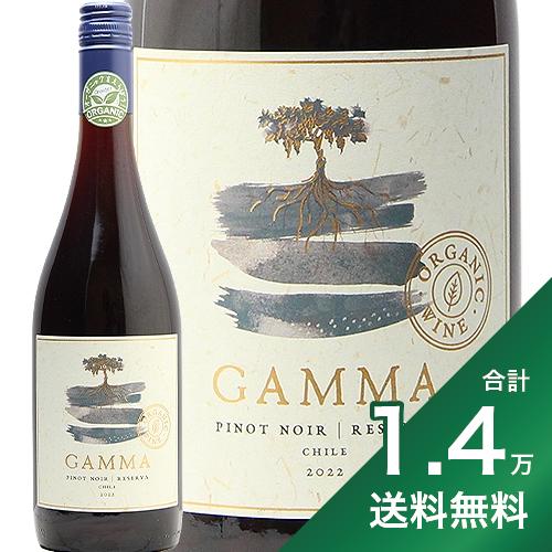《1.4万円以上で送料無料》ベサ ガンマ オーガニック ピノ ノワール レゼルバ 2022 Vesa Gamma Organic Pinot Noir Reserva 赤ワイン チリ