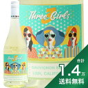 《1.4万円以上で送料無料》スリー ガールズ ソーヴィニヨン ブラン 2022 Three Girls Sauvignon Blanc 白ワイン アメリカ カリフォルニア