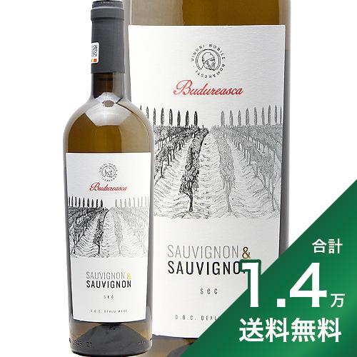 《1.4万円以上で送料無料》 ブドゥレアスカ ソーヴィニヨン & ソーヴィニヨン 2022 Budureasca Sauvignon & Sauvignon 白ワイン ルーマニア