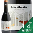 s1.4~ȏőt {X VxXg 2019 RXeX f VI Bosc Silvestre Costers del Sio ԃC XyC