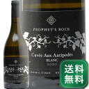 産地ニュージーランド ＞ セントラル・オタゴ生産者プロフェッツ・ロック品種シャルドネ 100%英字Prophet’s Rock Cuvee Aux Antipodes Blanc醸造新樽比率15％のフレンチオークで熟成飲み頃温度10 - 12℃おすすめグラスブルゴーニュグラス内容量750ml輸入元GRN《生産者について》 プロフェッツ・ロックはニュージーランド南島の南端、セントラルオタゴの生産者。世界各国のワイン評論家や愛好家から高い評価を獲得しており、英国の著名評論家ジャンシス・ロビンソン女史はポール・プジョル氏を「いずれ世界のワイン界をリードするだろうという逸材ワインメーカー5人の内の1人である」と絶賛しています。 《フランソワ・ミエ氏がコンサルタント》 特筆すべきは2005年よりブルゴーニュ、シャンボール・ミュジニーの偉大な造り手コント・ジョルジュ・ド・ヴォギュエの元醸造長、フランソワ・ミエ氏との親交を深めている点。 ポール・プジョル氏は2009年には現地でヴォギュエのワインを手掛けた経験もあります。その後も年に1度はブルゴーニュを訪れてフランソワ氏との情報交換を継続しているのだとか。 【パーカーポイント97点】 [ワインアドヴォケイト誌 2023年12月のレビュー] 2020年のシーズンは非常に涼しく、ヴィンテージ中に雪が降ったため、ワインは樽熟成期間が延長された。この年の収量は2019年より1樽多く、これも興味深い点だ。つまり、2020年のキュヴェ・オー・アンティポード・ブランは、ミネラルと風味の点でスイート・スポットを感じる。口に含むと、ワインは両極端に触れる。果実の落ち着きは酸の力強さによって活かされ、その組み合わせは実にエキサイティングでしなやかな飲み心地だ。本当に、本当に美味しい。フェノール類はしっかりと織り込まれ、フィニッシュまで流れ、これらが味わいを掴み、さらにフィニッシュへと突き進む。驚くべきワイン。素晴らしい。9樽生産。アルコール度数12.5%、ディアムの下で密閉。 [Erin Larkinによる試飲 飲み頃予想2023-2035年]■■■■■■■■■■■■■■■■■■■■■■■■ 分類記号 :乙22丁W戊N己N ミディアムボディ 辛口 味種類 :丑1 南3 酉13 惰K≪関連カテゴリ≫