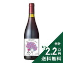《2.2万円以上で送料無料》 ボジョレー ヌーヴォー 2025 シャトー カンボ...