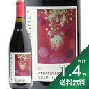 《1.4万円以上で送料無料》 リングア フランカ アヴニー ピノ ノワール ウィラメット ヴァレー 2021 Lingua Franca AVNI Pinot Noir Willamette Valley 赤ワイン アメリカ オレゴン