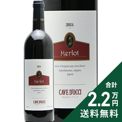 《2.2万円以上で送料無料》 メルロー 2024 カーブ ドッチ Merlot Cave d'Occi 赤ワイン 日本
