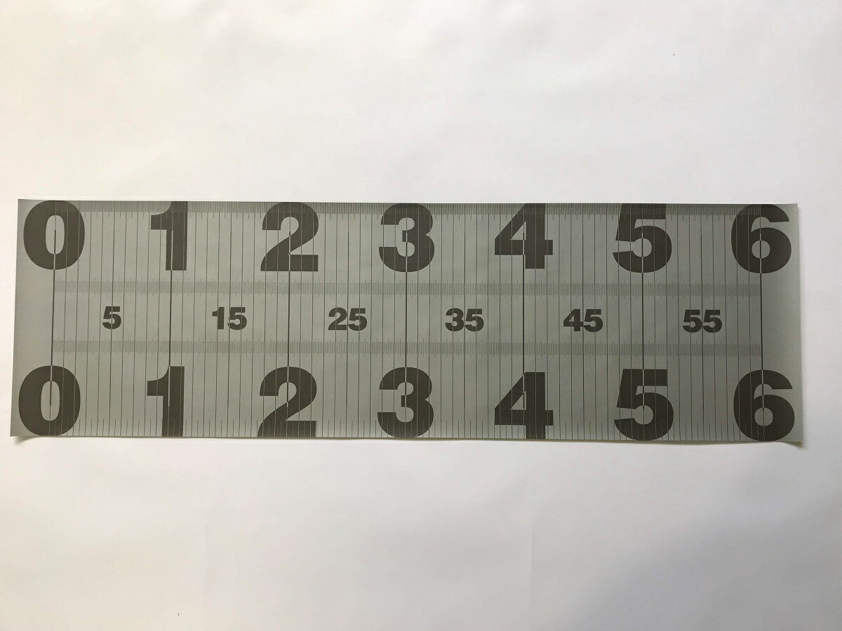 限定商品 なくなり次第終了 魚 メジャー シート テント地で丈夫。 コンパクト! 釣り 600mm×200mm グレー×黒通販格安セール情報 楽天 通販