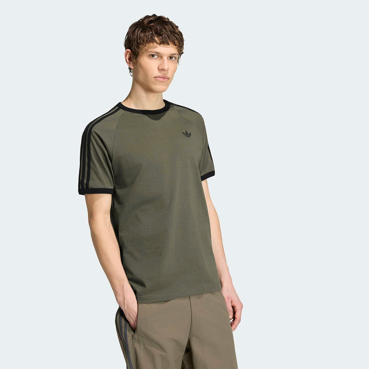  ダークグリーン ストライプ Tシャツ　M表示 楽天市場】ストライプ（カラーカーキグリーン）（Tシャツ・カットソー
