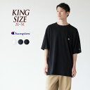チャンピオン ベーシック Tシャツ Champion C3-P300L 【キングサイズ/2L/3L/4L/5L】