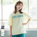 Tシャツ レディース COTTON from the US アメリカ カットソー ロゴ 文字 英字プリント アソートT クルーネック 半袖 ミドル丈 綿100％ メール便可