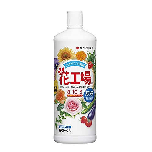 ◆商品名：住友化学園芸 肥料 花工場原液 1200ml 液体肥料 剤型:原液 材質:プラ 容量:1200ml 成分:尿素・有機酸・水 ブランド:住友化学園芸 商品紹介 成分と配合量の設計を見直したグッドバランス花着きや葉色が良くなりグンと元気になる 【用途】 肥料 【特徴】 ・草花、ばら、サボテン多肉植物、東洋ラン、幼苗、果物盆栽等の肥料 ・物の健やかな生育に必要な、様々な栄養をバランス良く配合した、すばやい効きめの肥料 【注意事項】 ※水で500倍から1000倍に薄めて散布してください。 ※種まき・植付け直後は標準倍率の範囲で薄めに与えてください。 ※飲み物ではないので飲まないでください。 ※農薬と混合して使用しないでください。 ※極端な低温場所に保管すると中の成分の結晶が析出する場合があります。 ※使用前に容器をよく振ってガサガサと音がする場合は、風呂程度の湯につけて溶解させてから使用してください。 ※葉面散布で噴霧器などを使用した場合、噴口が詰まらないよう使用後できるだけ早く水で十分に洗い流してください。 ※飲食物・食器類やペットの餌を区別し、直射日光をさけ、密栓して、小児の手の届かない冷涼で乾燥した場所に保管してください。 使用方法 水で500倍から1000倍に薄めて散布してください