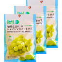 3個セット【ブルーグリーン・送料無料】クリート 植物生まれのシャインマスカットグミ UHA味覚糖 忍者めし鉄の鎧 マスカット味 シャインマスカットボンボン 果汁のしずく マスカットボンボン ウイスキーボンボン 2種のぶどうぼんぼん