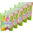 5個セット【トロリーノ】Lion ライオン菓子 トロリーノ フルーツ キャンディー 52g SNS話題 TIKTOK話題 バズってる 数量限定(4)