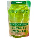 ヨーグルトグミ マスカット味 グミキャンディ