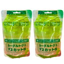2個セット ヨーグルトグミ マスカット味 グミキャンディ
