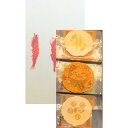 【詰め合わせ9個入り】桂新堂 詰め合わせ9個入り 夏きらり 海老づくし 海老 煎餅 ギフト お菓子 プレゼント 和菓子 えびせんべい お歳暮 個包装 東京土産...