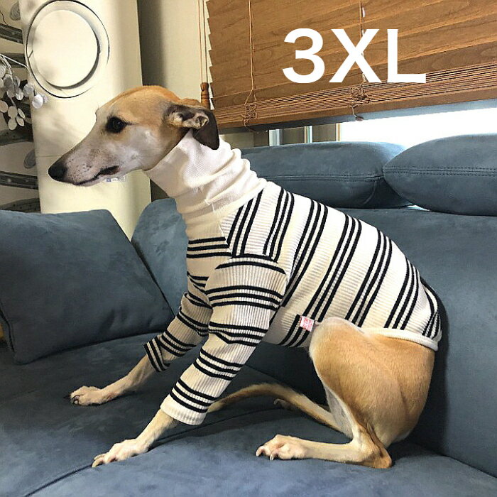 ウィペット 服 3XL ストライプ Tシャツ 犬服 イタグレ ベドリントンテリア 服イタグレ 服 イタリアングレイハウンド イタリアン グレーハウンド ドッグ ウェア 犬 服 春 夏 秋 冬 doggystar ドッギースター【イタグレ服のコカパパ】【イタグレ服春夏秋冬アイテム】