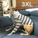 ウィペット 服 3XL ストライプ Tシャツ 犬服 イタグレ ベドリントンテリア 服イタグレ 服 イタリアングレイハウンド イタリアン グレーハウンド ドッグ ウェア 犬 服 春 夏 秋 冬 doggystar ドッギースター