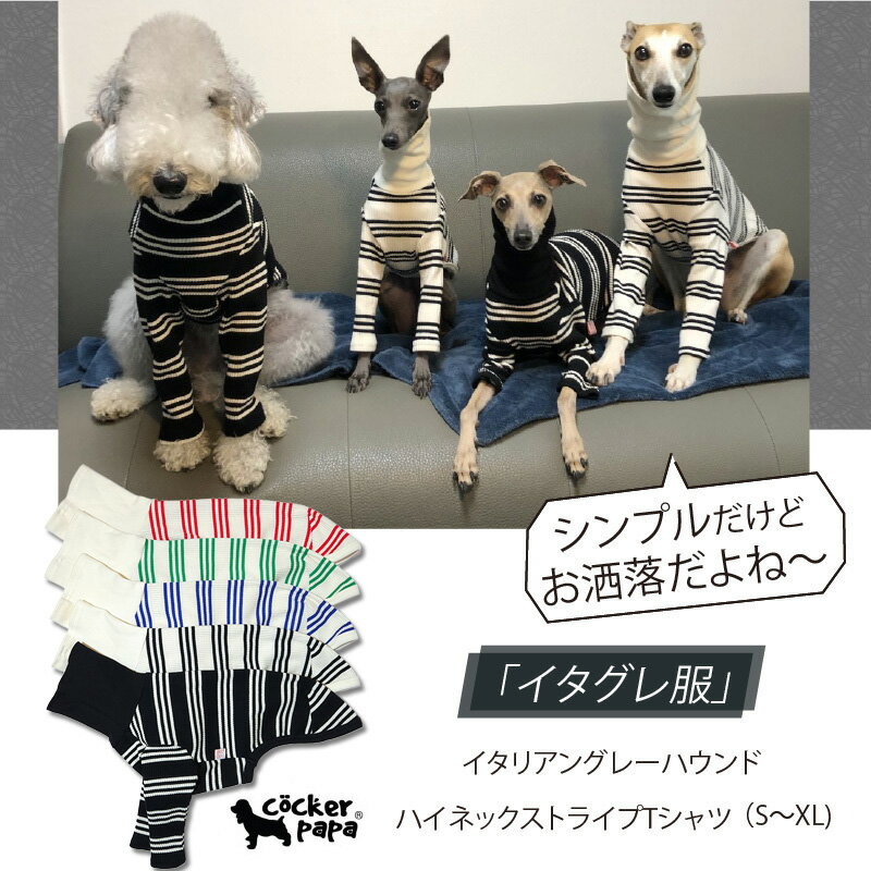 楽天市場】ウィペット(ドッグウェア|犬用品):ペット・ペット 楽天市場】ウィペット(ドッグウェア|犬用品):ペット・ペット