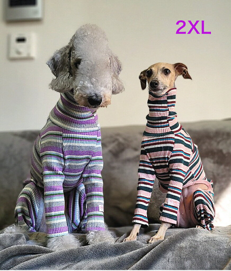 ベドリントンテリア 服 2XL ボーダー ロンパース つなぎ 犬服 イタグレ 服 ウィペット 服 イタリアングレイハウンド イタリアン グレーハウンド 犬 服 春 夏 秋 冬 室内着 doggystar ドッギースター【イタグレ服セール】【アウトレット】【イタグレ服春夏秋冬アイテム】