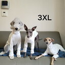 ウィペット 服 3XL パジャマ ロンパース つなぎ 犬服 イタグレ イタグレ 服 ベドリントンテリア 服 イタリアングレイハウンド イタリアン グレーハウンド 犬 服 春 夏 秋 冬 室内着 doggystar ドッギースター【イタグレ服のコカパパ】【イタグレ服パジャマ】