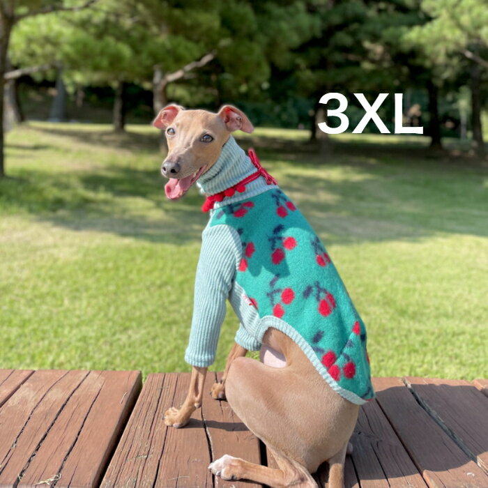 コカ セーター レディース イタグレ 服 3XL 犬服 イタグレ チェリー 長袖 ニット Tシャツ ベドリントンテリア 服 セーター doggystar ドッギースター【イタグレ服のコカパパ】【イタグレ服ボアフリース】【イタグレ服秋冬Tシャツ】【イタグレ服セール】【アウトレット】