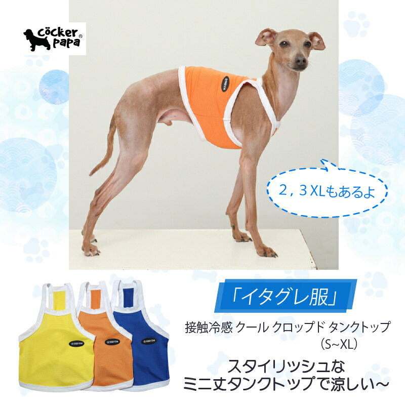 【doggystar ドッギースター】イタグレ スポーツ クール クロップド トップス クールベスト ひんやり ..