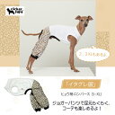 【doggystar ドッギースター】 ヒョウ柄 ロンパース つなぎ レオパード ゆったり ジョガーパンツ イタグレ イタリアングレーハウンド 小型犬 中型犬 大型犬 ウィペット 服 ベドリントンテリア 犬 服 春 夏 秋 冬【イタグレ服のコカパパ】【イタグレ服春夏秋冬アイテム】