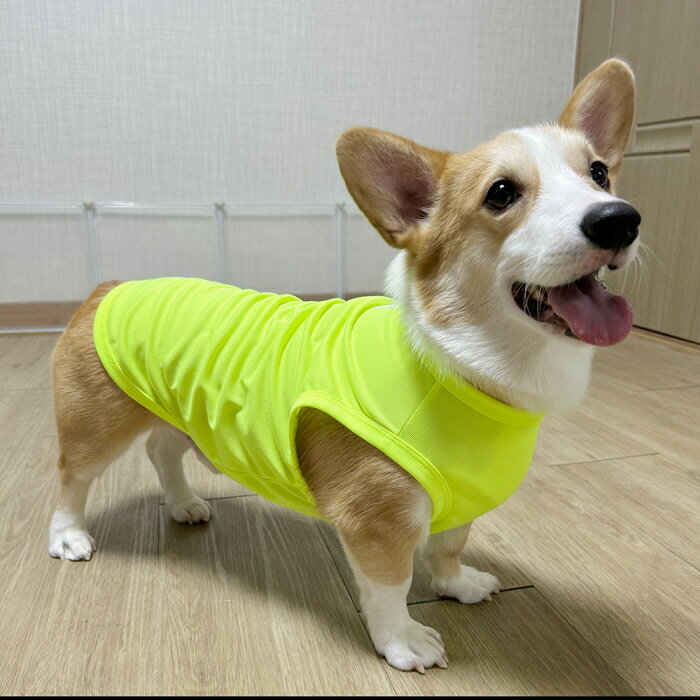 犬服 ウェルシュ コーギー 服 2XL 3XL 4XL 5XL 接触冷感 クールベスト Tシャツ 無地 中型犬 大型犬 熱中症対策 春夏 コーギー おしゃれ doggystar ドッギースター