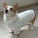 【doggystar ドッギースター】 ウェルシュ コーギー 服 2XL 3XL 4XL 5XL パジャマ Tシャツ 中型犬 大型犬 春 夏 秋 冬 コーギー おしゃれ犬服 doggystar ドッギースター