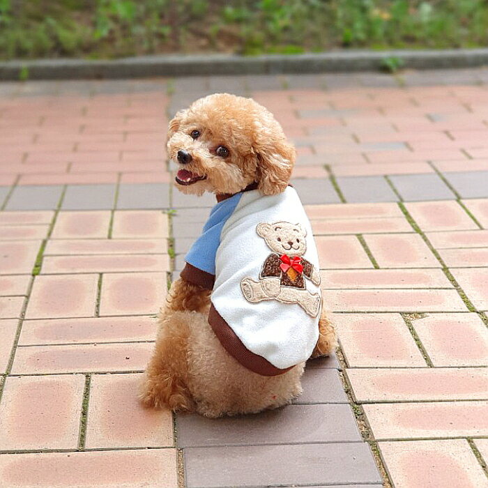 クマ フリース Tシャツ 犬 服 かわいい 秋 冬 小型 犬 中型 犬 犬の服 おしゃれ ペット服 ドッグウェア 軽量 暖かい doggystar ドッギースター【犬服セール】【アウトレット】