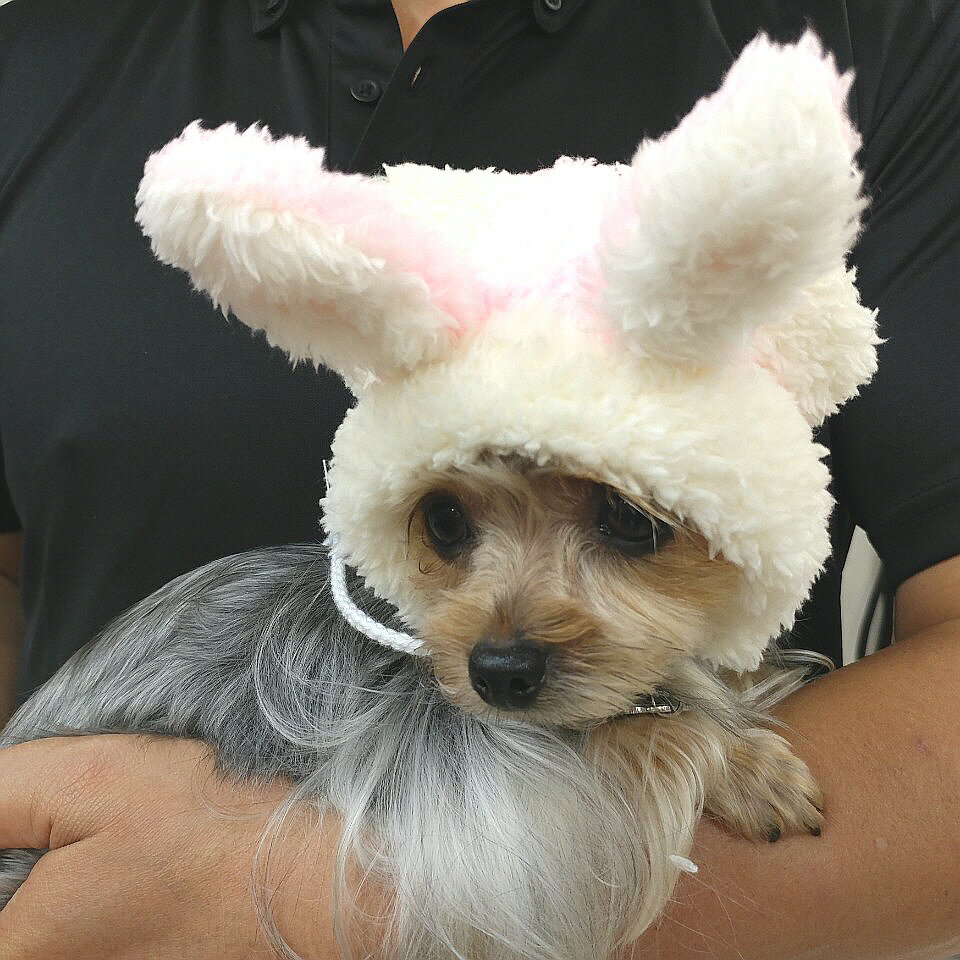 【doggystar ドッギースター】ボア フリース 帽子 コスプレ かぶりもの うさ耳 トナカイ耳 スヌード 犬の帽子 動物帽子 犬 冬 フリース 軽量 防寒 doggystar ドッギースター【イタグレ服のコカパパ】