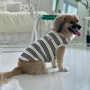 犬服 ボーダー フランス シンプル Tシャツ 小型 犬 中型 犬 春夏秋冬 袖なし おしゃれ かわいい 薄手コットン服 ハイネック韓国 ペット服 doggystar その1