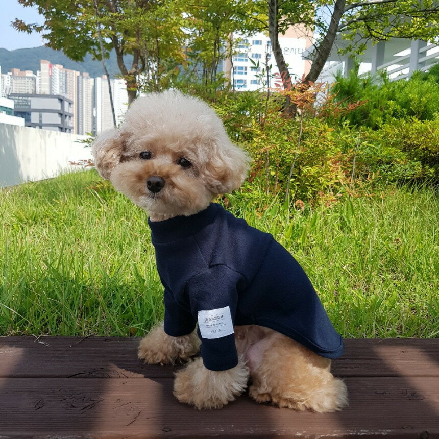 【doggystar ドッギースター】長袖 Tシャツ シンプル 無地 着せやすい ベーシック 小型犬 中型犬 大型犬 春 夏 秋 冬 doggystar ドッギースター 犬 服 【イタグレ服のコカパパ】