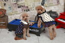 犬 服 韓国 デニム スカート サスペンダー ペイズリー柄 小型犬 中型犬 春 夏 秋 冬 サイズ 調整可能 可愛い おしゃれ 男女ペア cockerpapa ...