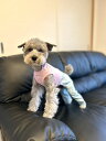 【doggystar ドッギースター】犬 服 デニム ロンパース かわいい 春 夏 秋 冬 小型 犬 中型 犬 犬服 おしゃれ ペット服 チワワ トイプードル 抜け毛対策 doggystar ドッギースター