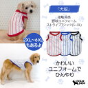 【doggystar ドッギースター】犬 服 ひんやり クール 野球 ユニフォーム Tシャツ ストライプ 夏 接触 冷感 小型 犬 中型 犬 大型 犬 メッシュ タンクトップ 熱中症対策 ペット服 doggystar ドッギースター【クールベスト特集】