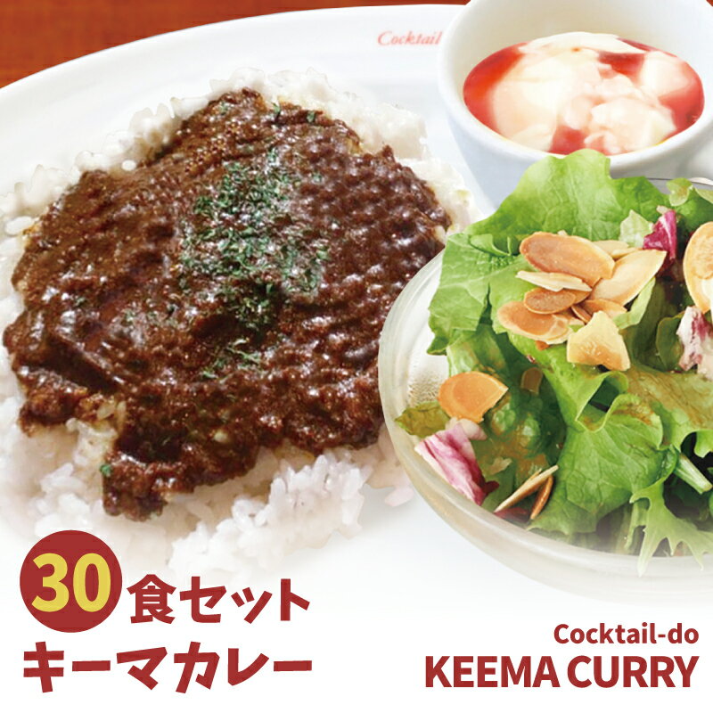 カレー 業務用 大容量 コクテール堂 オリジナル キーマカレー 30食セット100g×30袋 レトルト スパイシー KEEMA CURRY