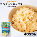 ココナッツチップ40g