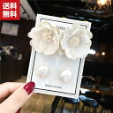 送料無料 イヤリング ピアス レディース 人気 ロングピアス 合金製 メッキ 金属アレルギー対応 女性アクセサリー プレゼント OL女性