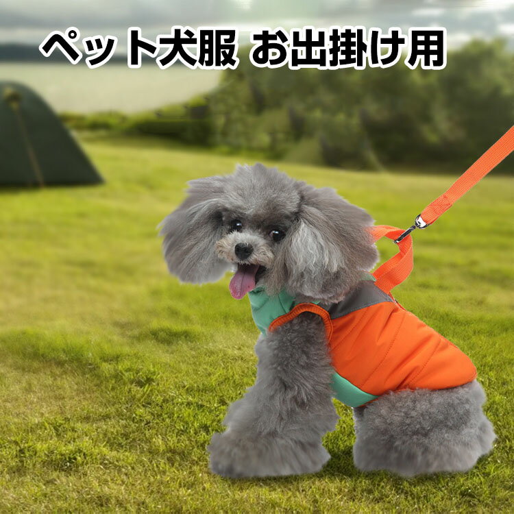  ڥåȸ ߰ ɴ Ȥ İ   襤  淿 緿 ȴк  롼० ...